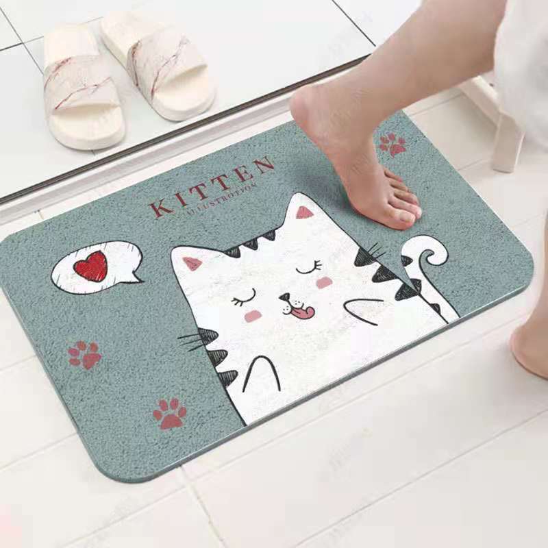 Absorbent Bath Rug